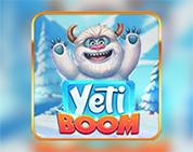 Yeti Boom FS